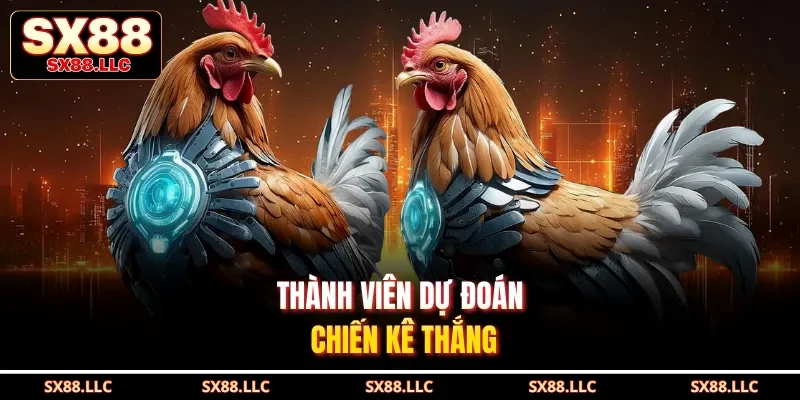 Thành viên dự đoán chiến kê thắng